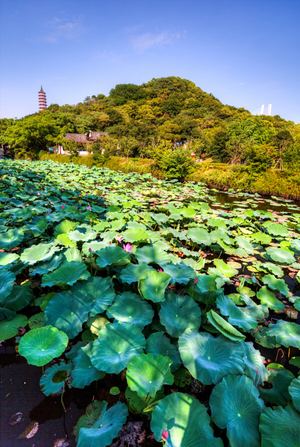 招宝山旅游风景区