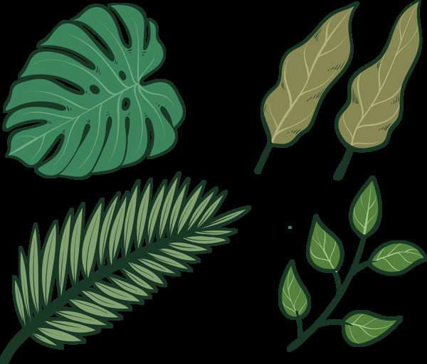 热带叶子插画免抠png透明图层素材