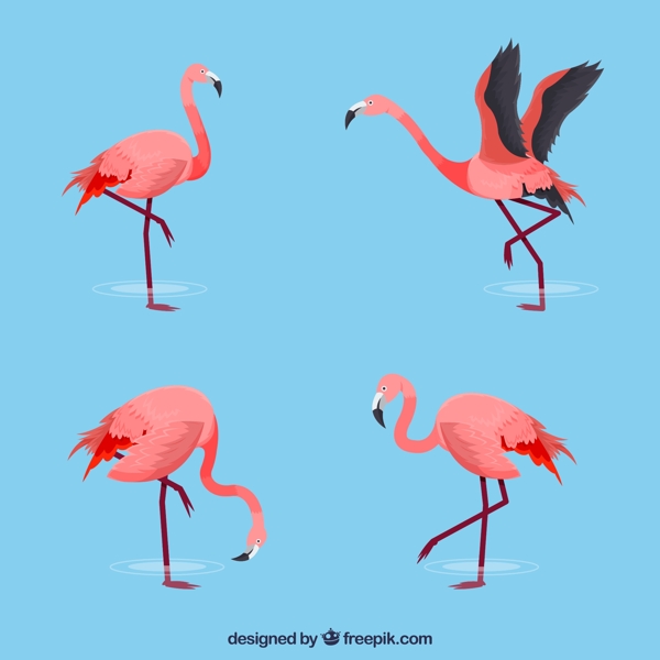 4款动感粉色火烈鸟