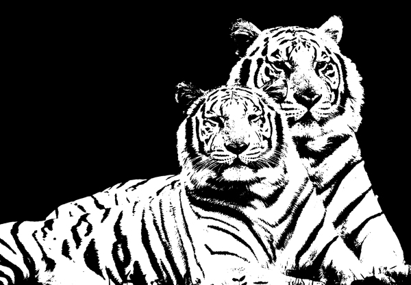 欧式装饰画两只老虎图片