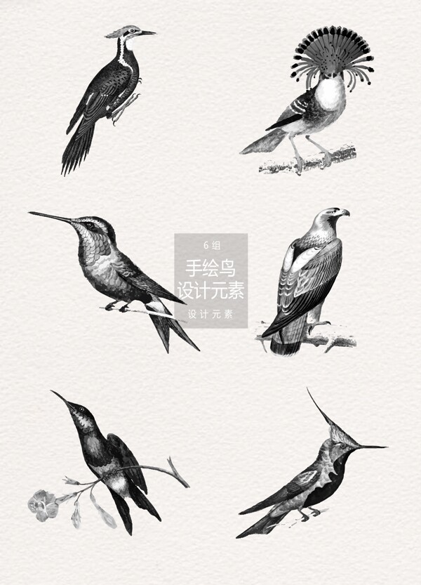 水墨手绘鸟插画设计元素