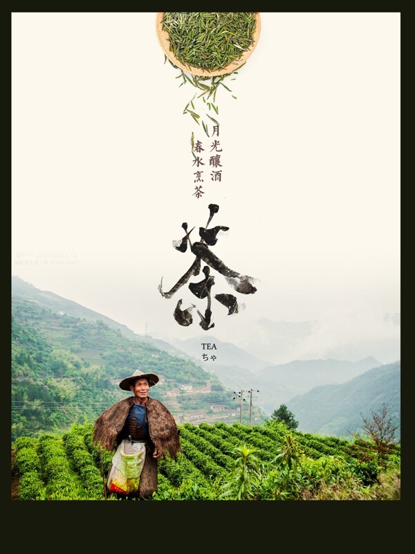 茶文化碧螺春龙井中国茶中式茶海报