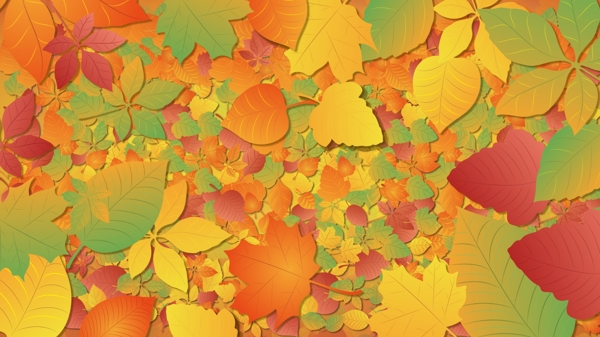 秋天枫树叶无缝背景设计