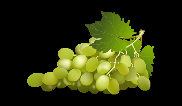 绿色的葡萄免抠png透明图层素材