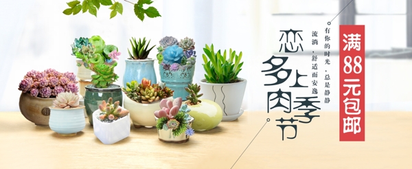 多肉植物满减包邮促销活动banner