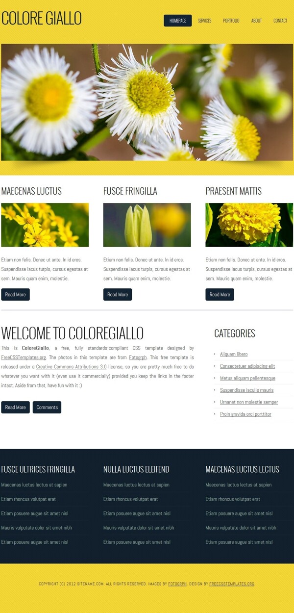 黄色鲜花介绍网页模板