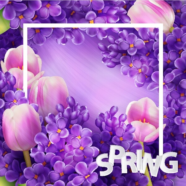 唯美紫色花朵边框设计矢量素材