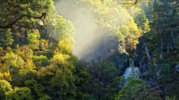 绿色清新自然风景