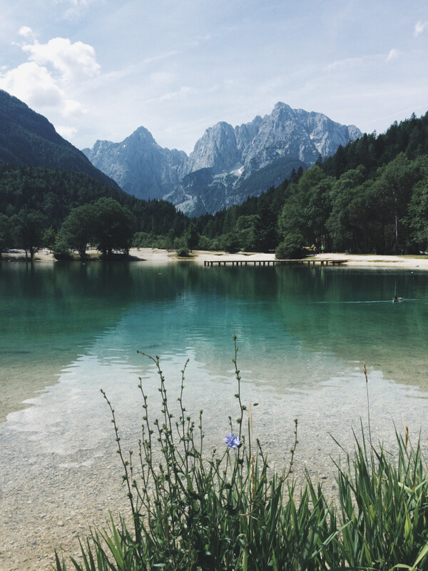 树林中的湖泊风景图片