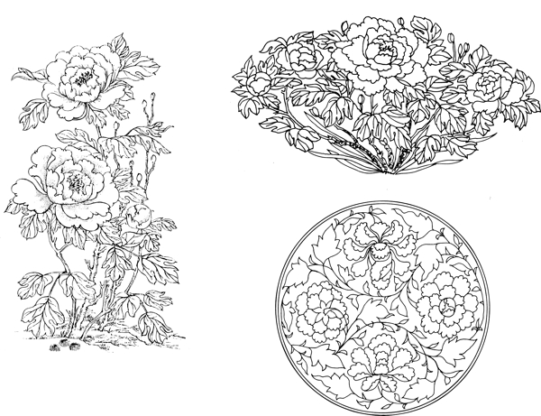 富贵牡丹花卉插图图片