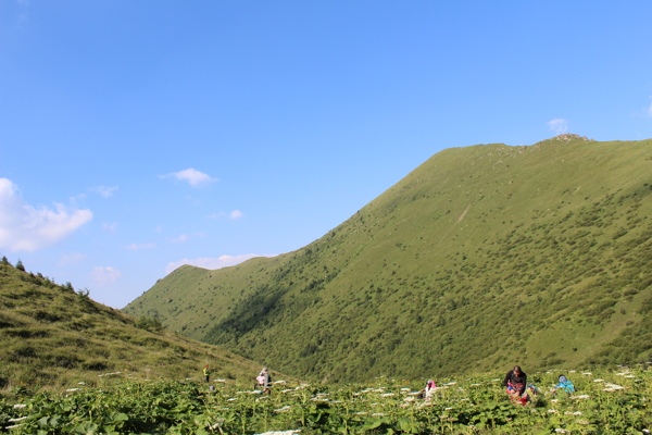 风景图片