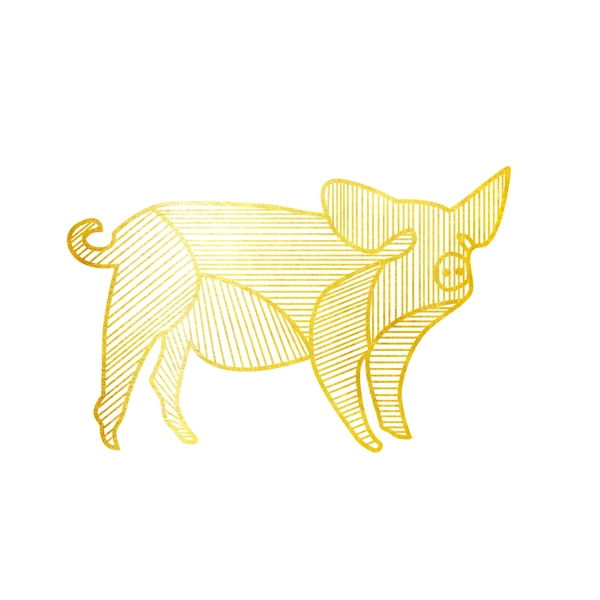 新年金色线条小猪