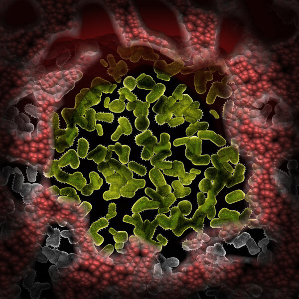 绿色密集虫状微生物图片