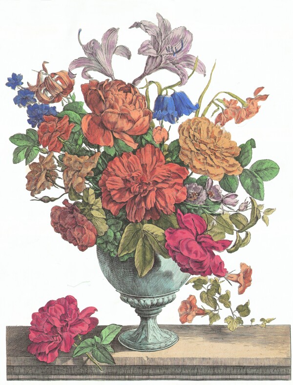 大花盆花卉绘画图片