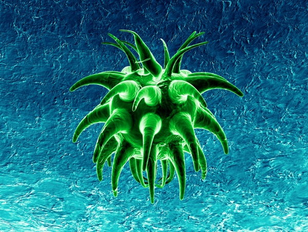 绿色微生物图片