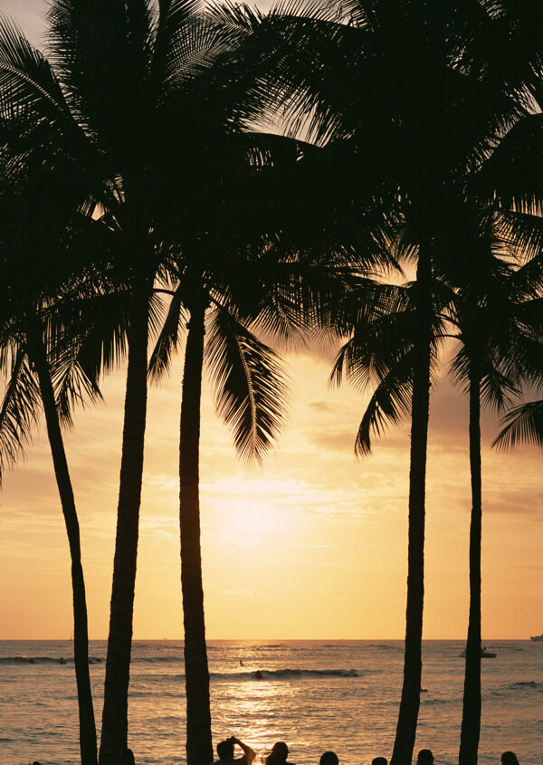 夕阳晚霞海岛风情旅游观光沙滩风情海边椰树海浪异国风情