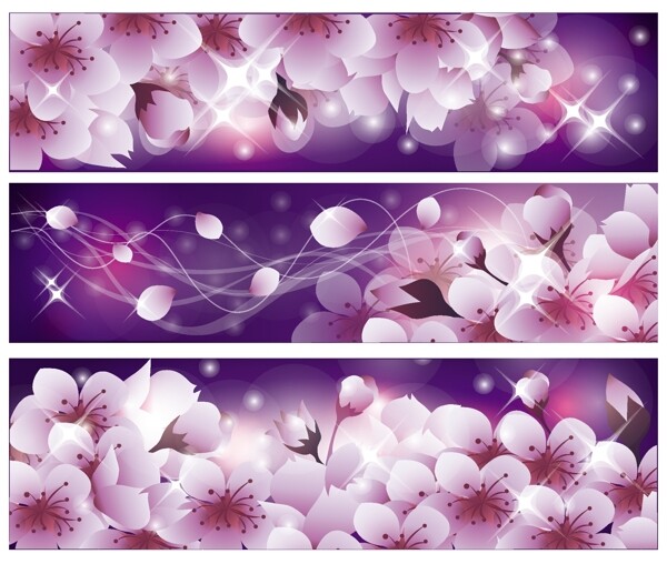 樱花花卉日本樱花背景设计