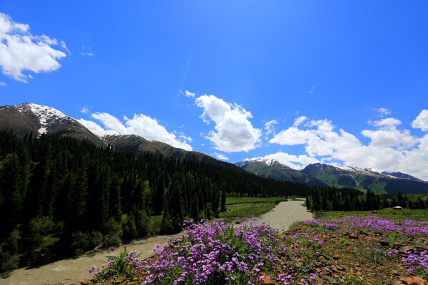 新疆天山风景