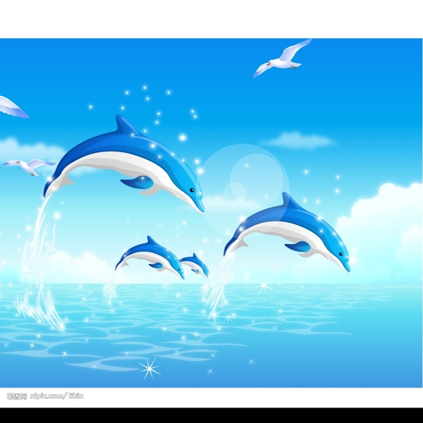 精美的海豚图片