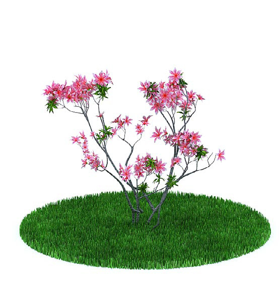 粉色花朵树木3d模型