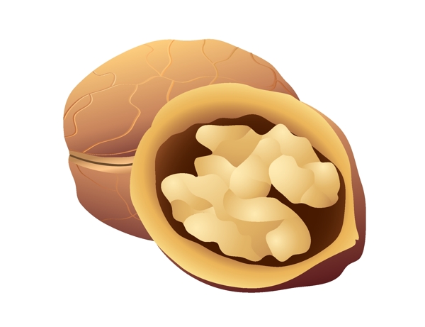 黄色的核桃装饰插画