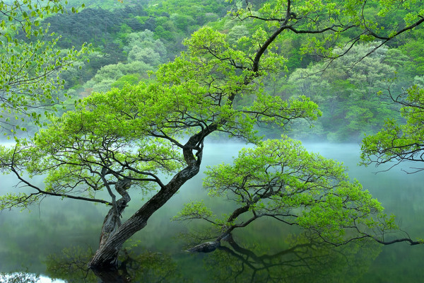 自然风景