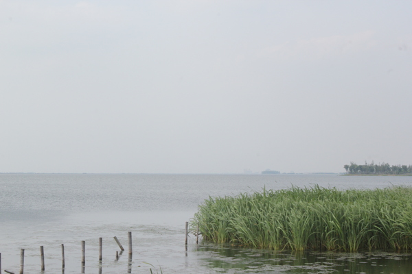 阳澄湖风景