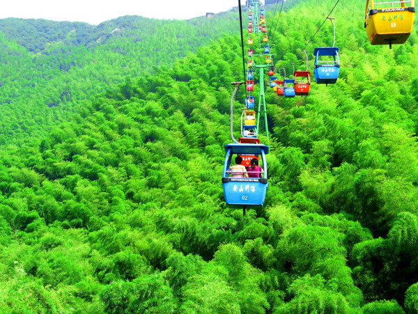 天目湖南山竹海图片