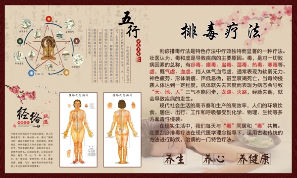 中医文化理疗排毒疗法