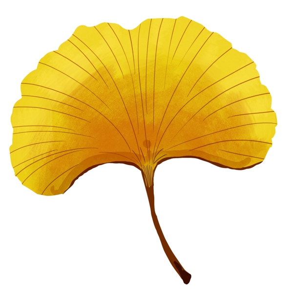 黄色扇子形树叶插图