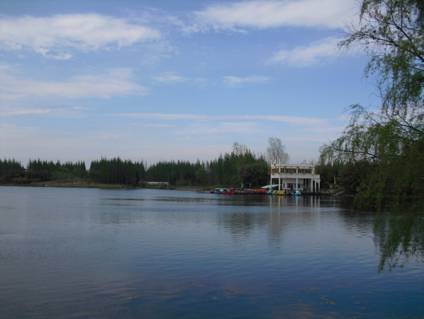 崇明岛共青森林公园湖图片