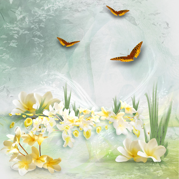花朵蝴蝶相框图片