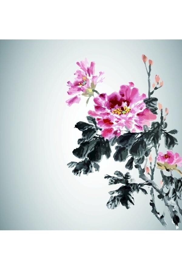 植物花卉花卉图案牡丹花