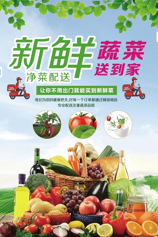 绿色新鲜蔬菜净菜配送海报