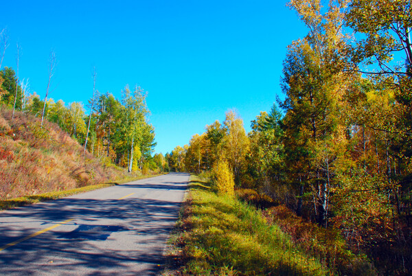 路边秋景图片