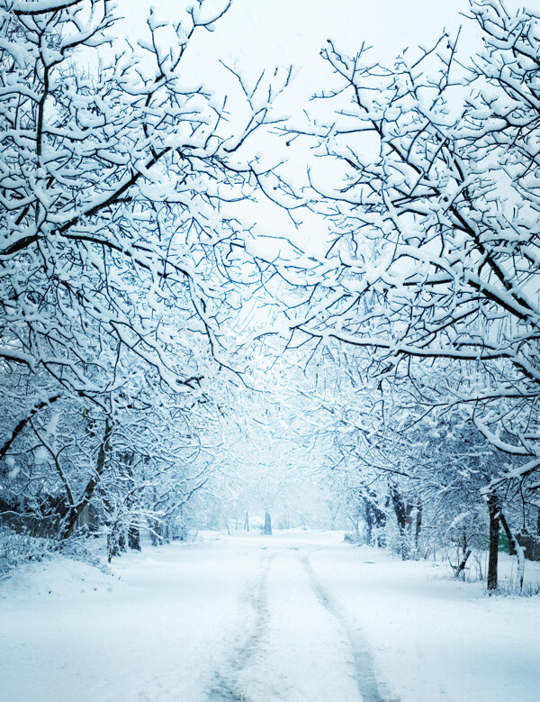 雪景背景素材图片