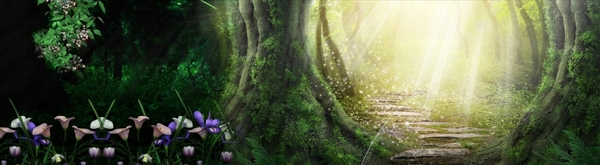 梦幻绿色森林童话背景设计