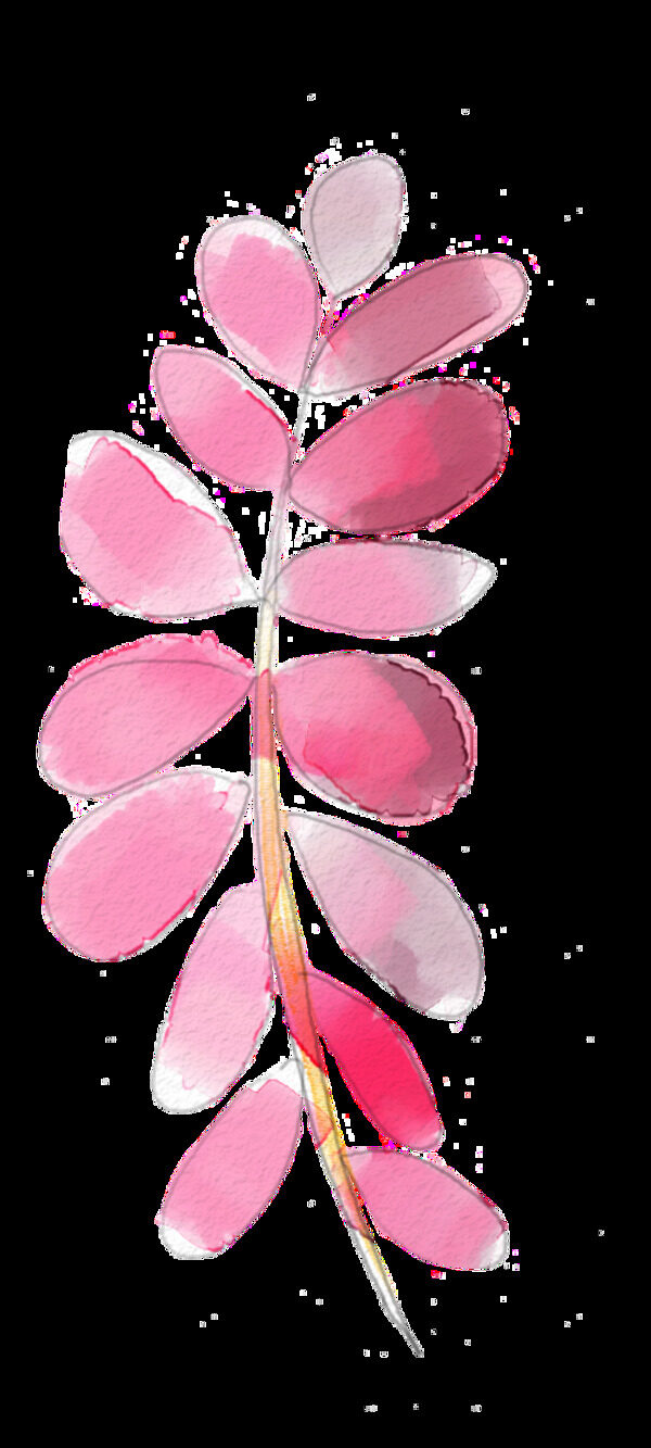 粉色树枝透明装饰图案