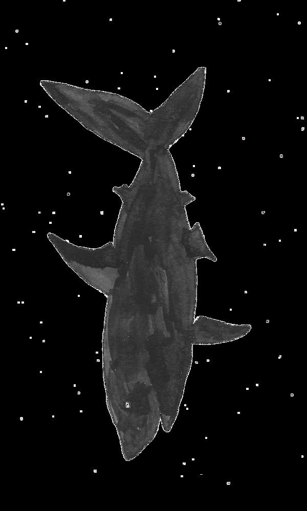 黑色鲨鱼卡通透明素材