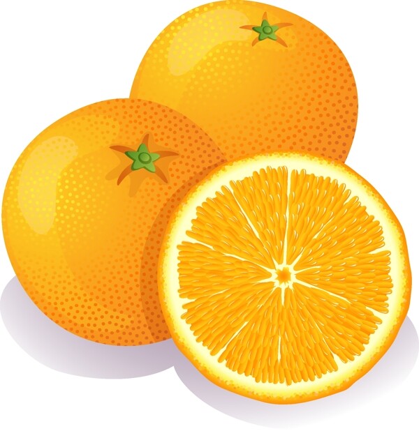 新鲜营养橙子矢量图