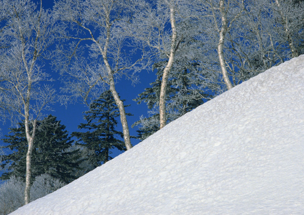 冬季景象摄影图片