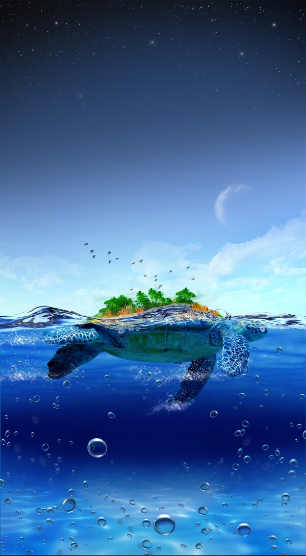 在海洋的大海龟岛
