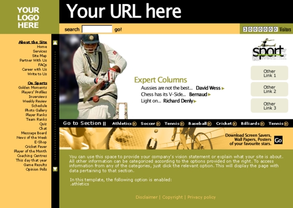 欧美专业运动网站模板