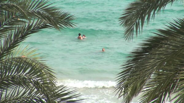 人们在海里游泳用棕榈叶2股票的录像
