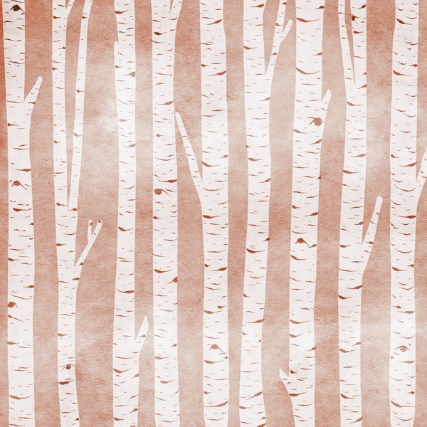 桦树背景插图