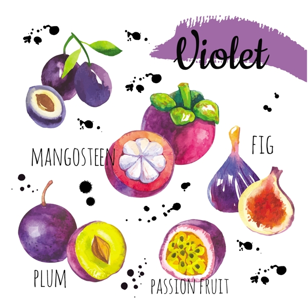 紫色水果实物图