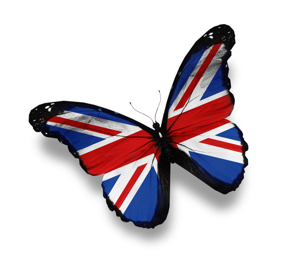 英国国旗蝴蝶