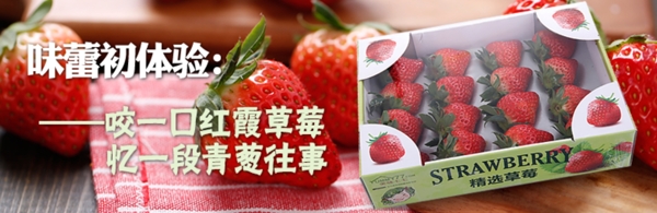 红霞草莓BANNER
