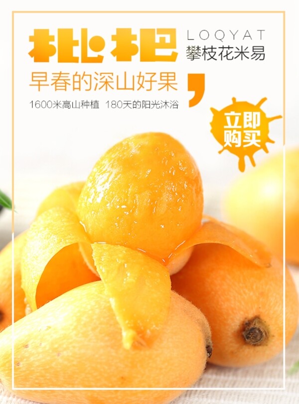 枇杷水果宣传海报