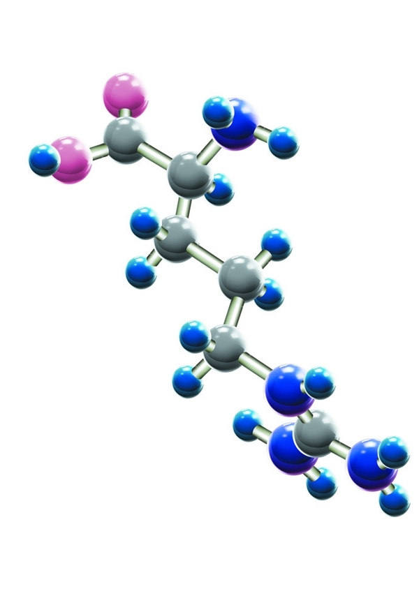 蛋白质立体分子图片